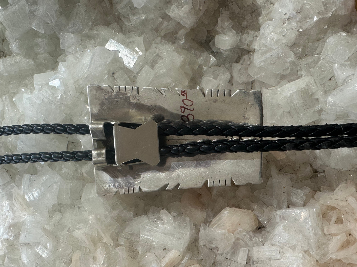 Spiney Oyster Bolo Tie