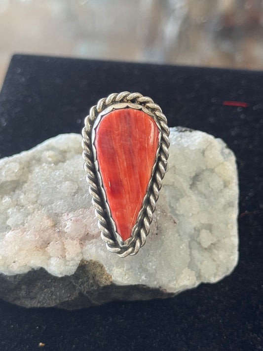 Red Spiny oyster
